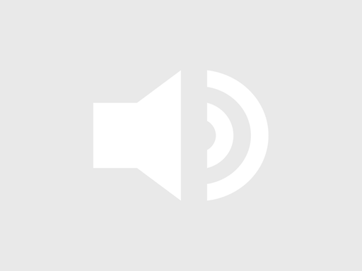 Audio Fallback