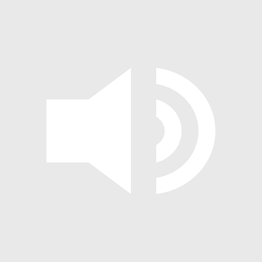 Audio Fallback