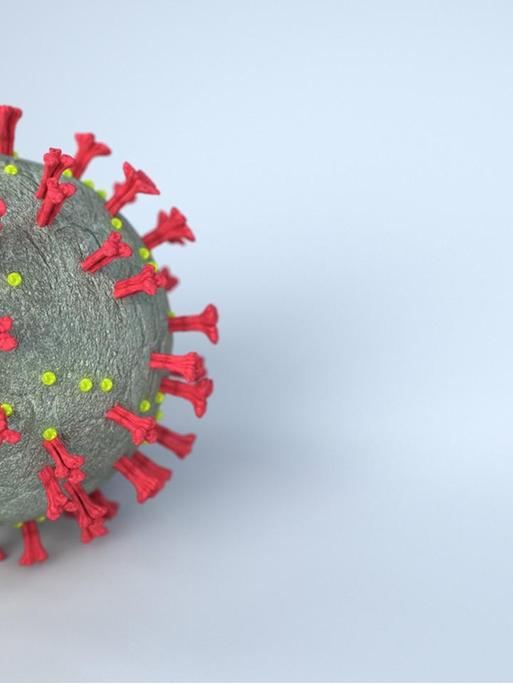Die 3-D-Illustration eines Coronavirus ist vor einem hellen Hintergrund zu sehen.