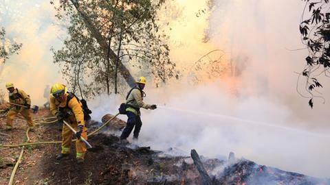 Feuerwehrmänner kämpfen gegen die Flammen in Santa Rose in Nord Kalifornien.