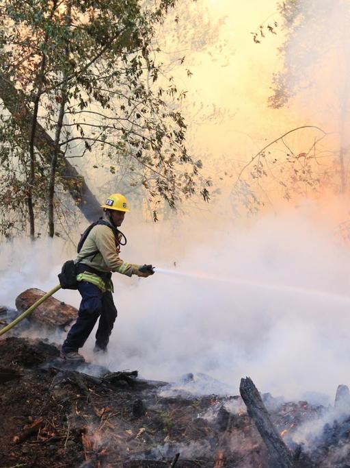 Feuerwehrmänner kämpfen gegen die Flammen in Santa Rose in Nord Kalifornien.