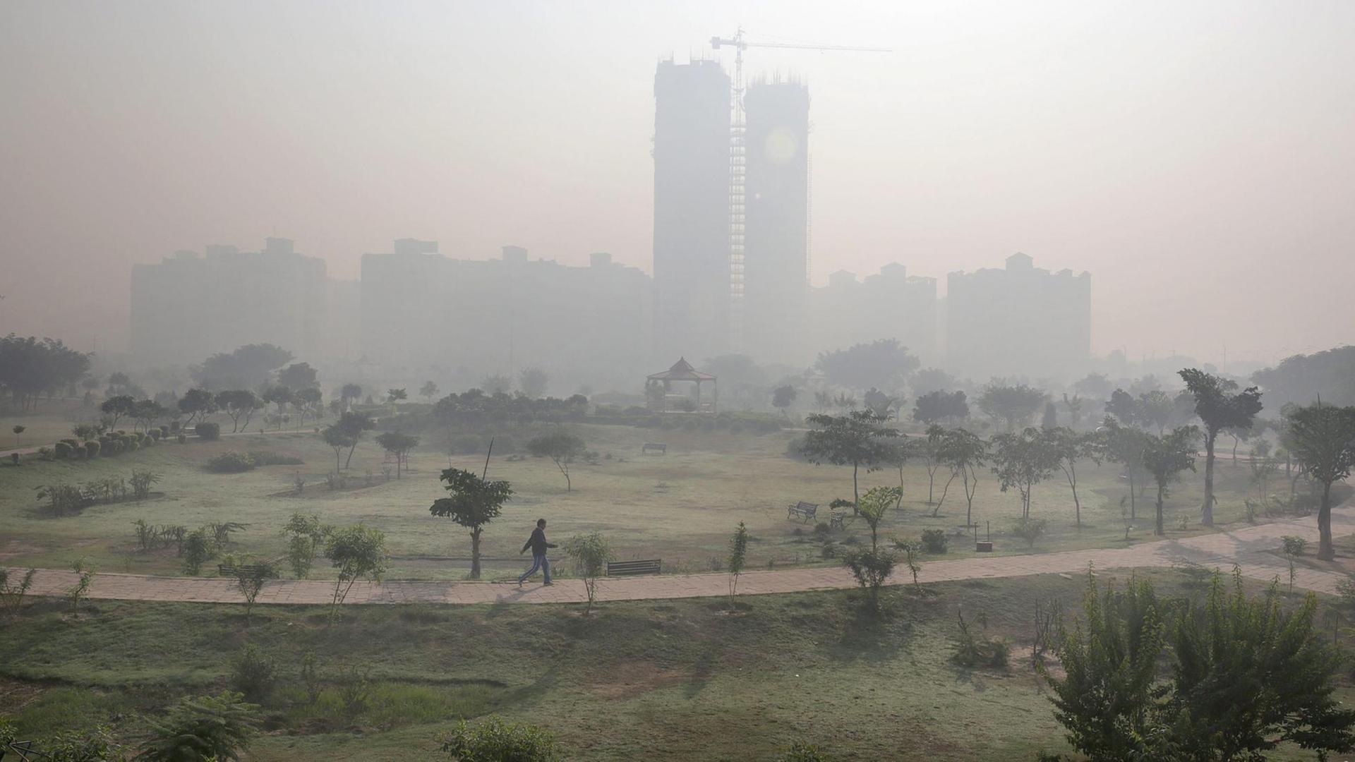Ein Mann geht durch einen Park. Die Luft ist trüb vor Smog. Ein Mann geht durch einen Park. Die Luft ist trüb vor Smog.