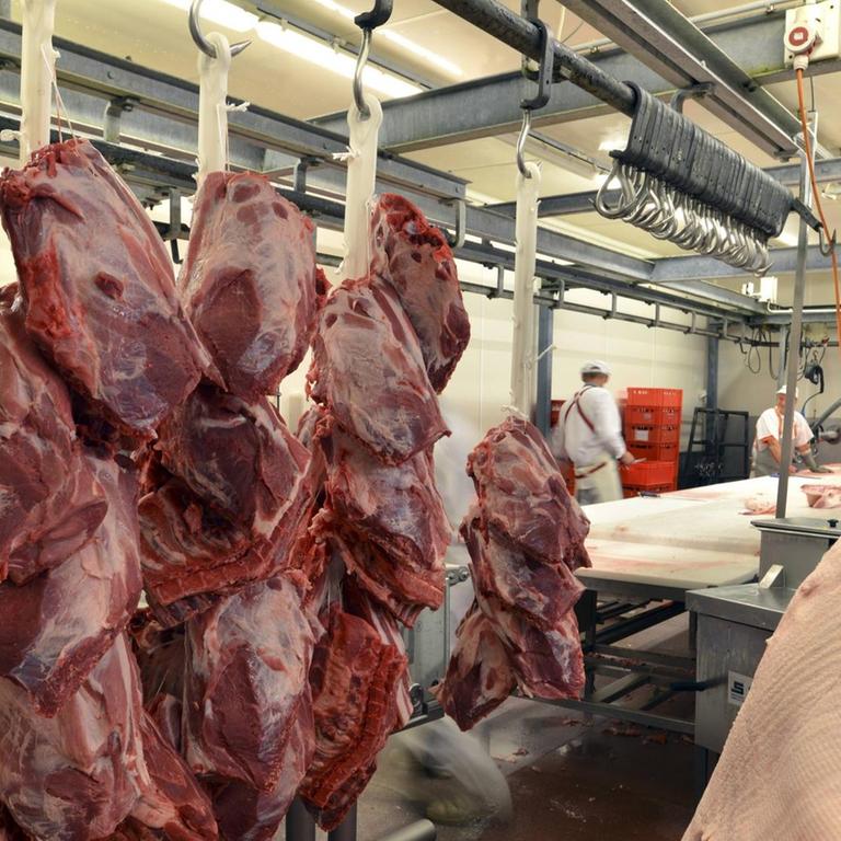 Fleischverarbeitung in einem Schlachtbetrieb