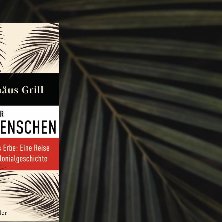 Im Vordergrund das Cover von Bartholomäus Grills "Wir Herrenmenschen", das mit Palmblättern illustriert ist, im Hintergrund ein Palmblatt vor dunkler Fläche.