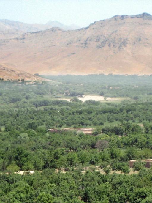 Blick über Wälder der südafghanischen Provinz Urusgan auf die Berge des Hindukusch.