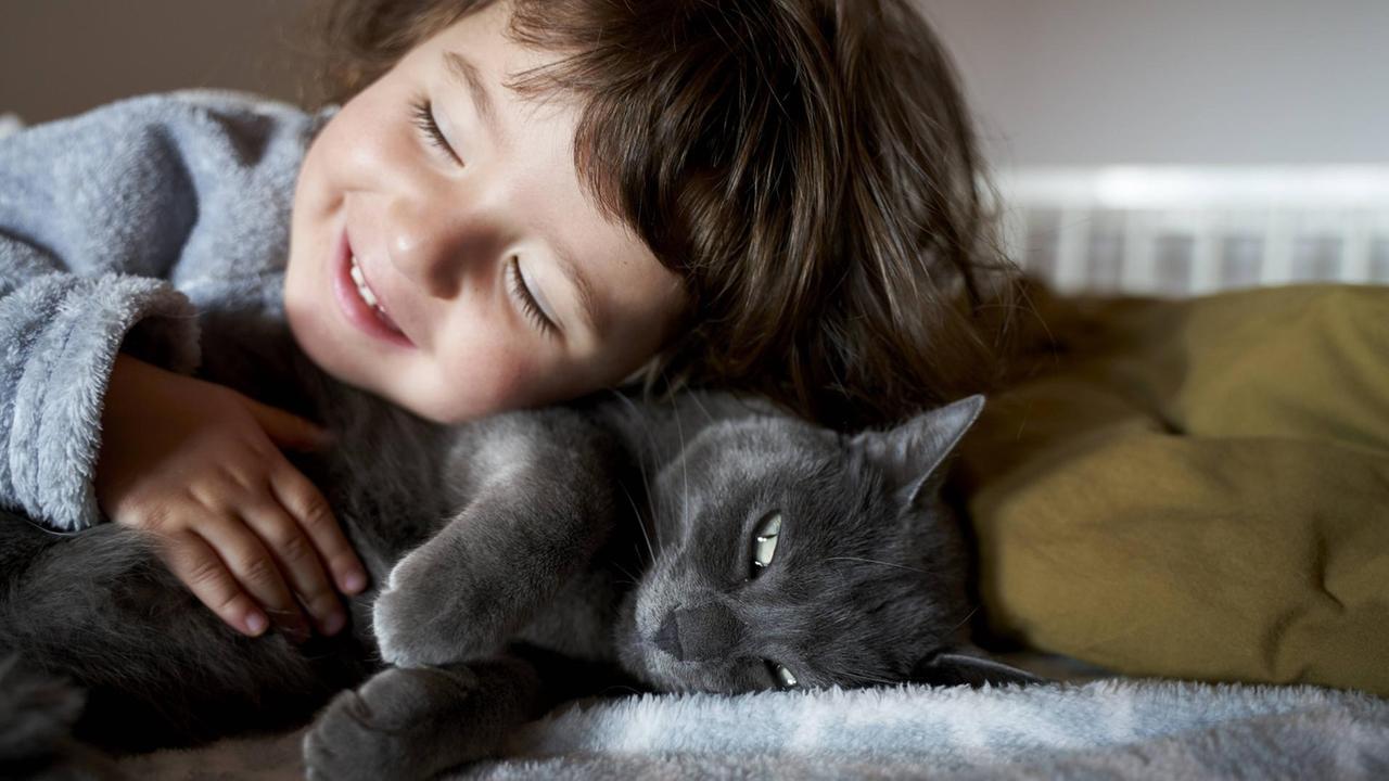 Portrait of happy toddler girl cuddling grey cat lying on bed model released Symbolfoto property released PUBLICATIONxINxGERxSUIxAUTxHUNxONLY GEMF02921