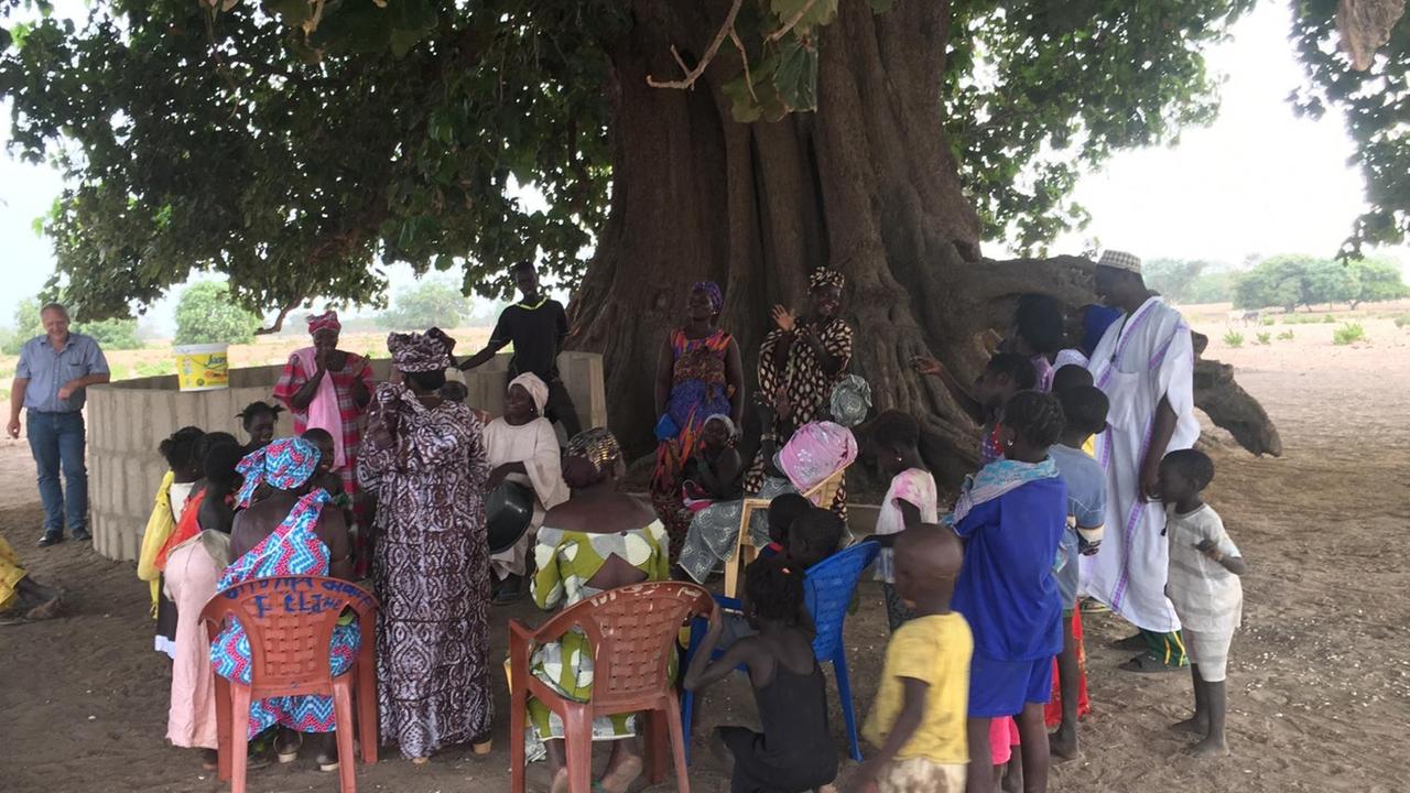 Unter einem riesigen Baum in einem senegalesischen Dorf treffen sich die Bewohner zu einer Besprechung.