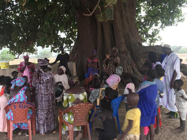 Unter einem riesigen Baum in einem senegalesischen Dorf treffen sich die Bewohner zu einer Besprechung.