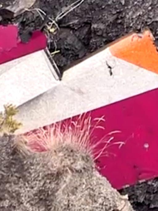 Wrackteil der verunglückten Germanwings-Maschine in Südfrankreich