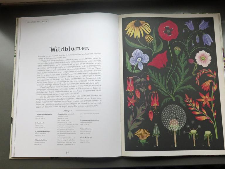 Ausschnitt: "Das Museum der Pflanzen" von Kathy Willis (Autorin) und Katie Scott (Illustratorin)