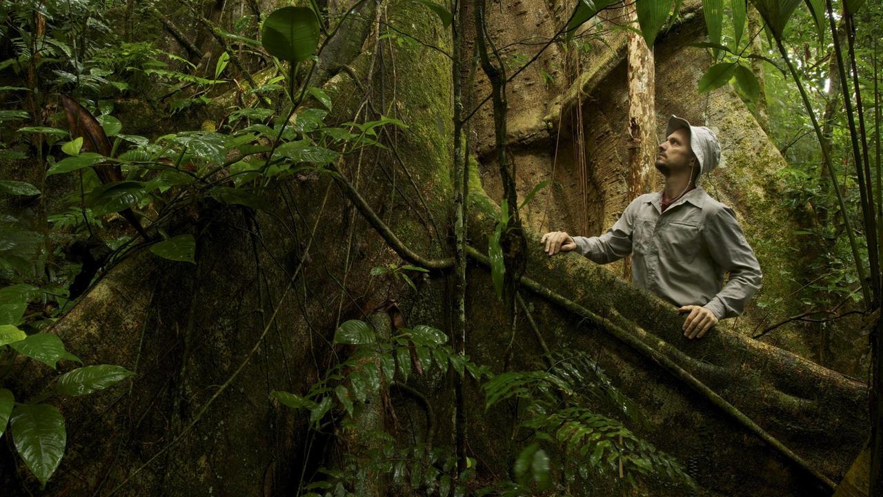 Markus Mauthe steht im Regenwald neben einer riesigen Baumwurzel.