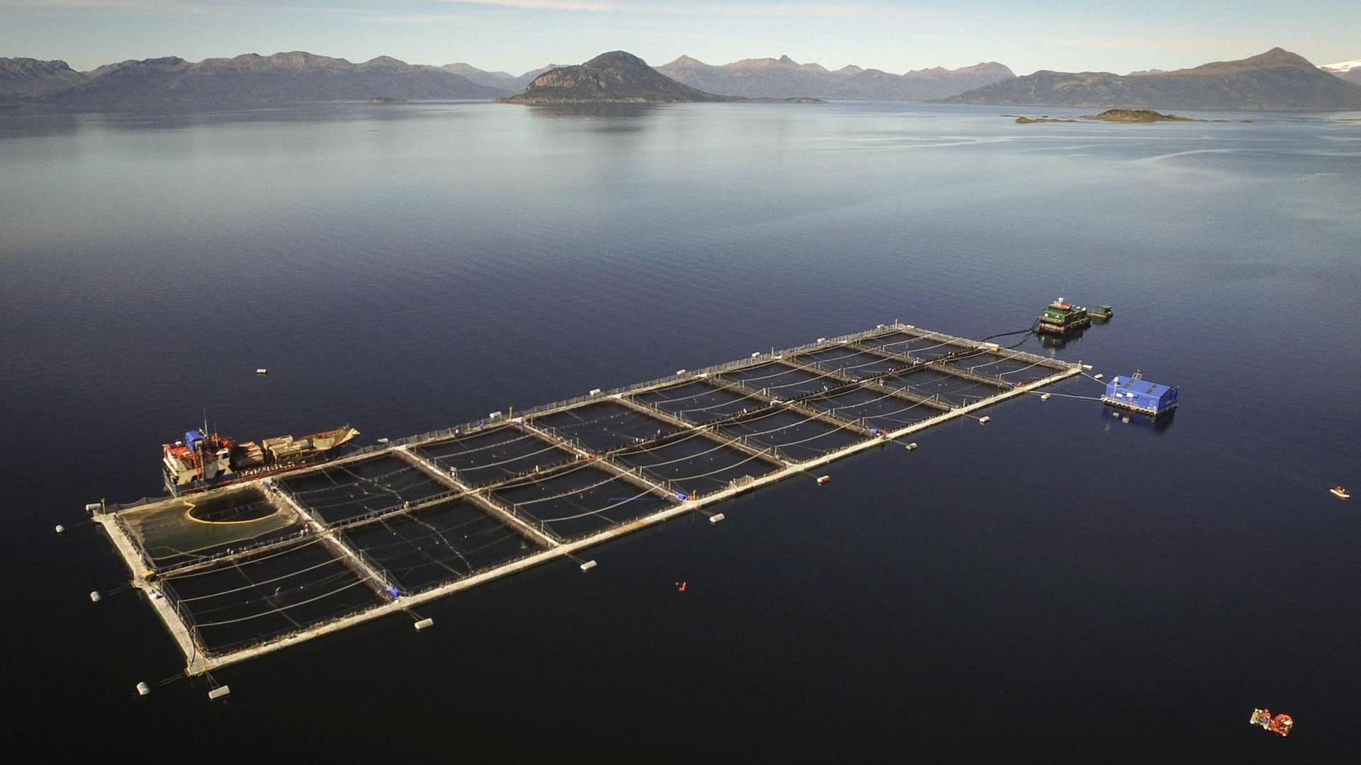 Eine Aquakulturfarm in Chile zur Lachszucht. Auf dem offenen Meer sind quadratische Netze im Wasser für die Lachse.