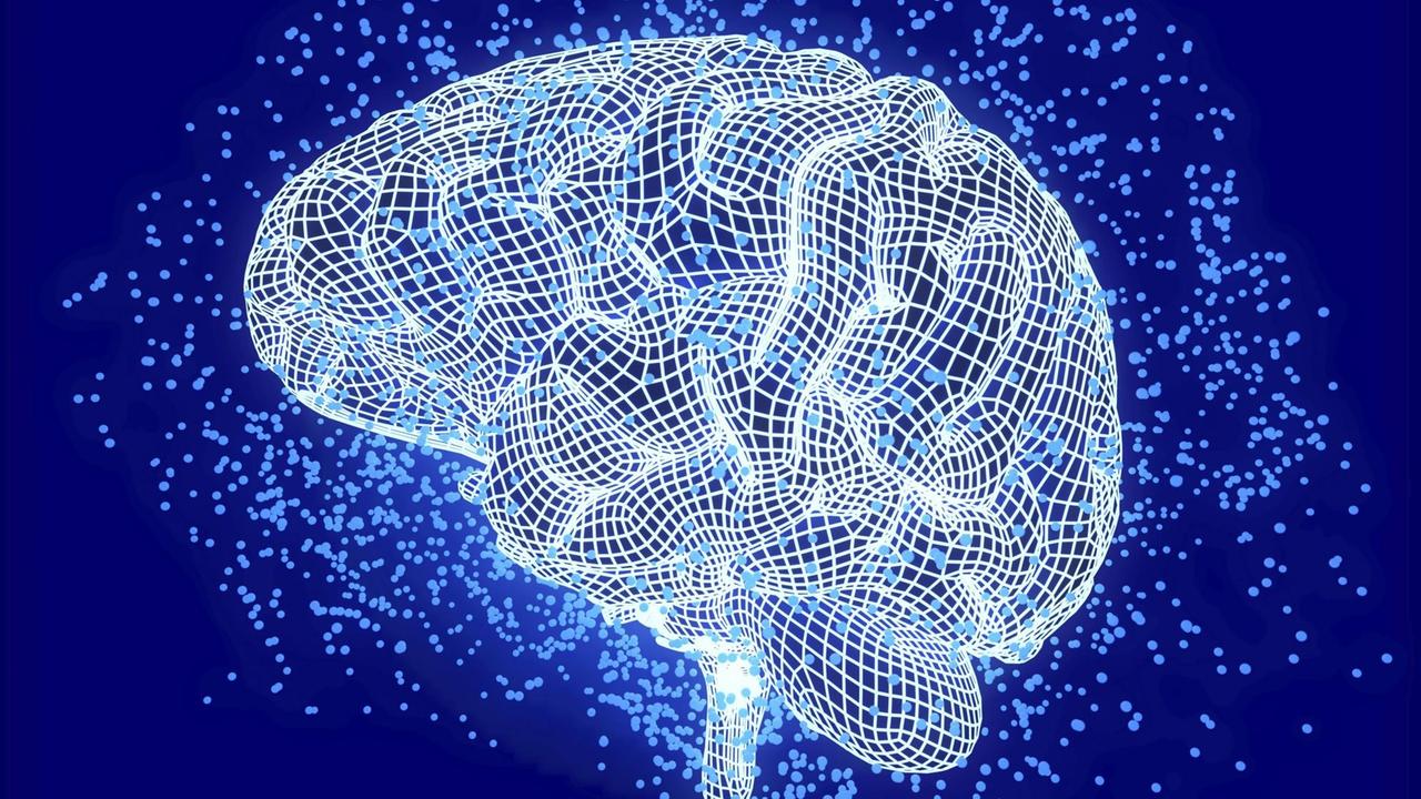 Computer Illustration eines menschlichen Gehirns.