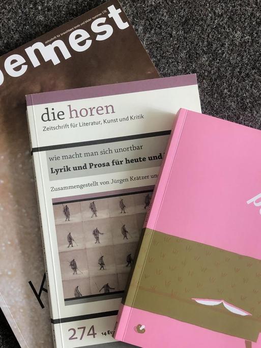 Die Titelbilder der Literaturzeitschriften  "Wespennest", "poetin" und "die horen" liegen übereinander.