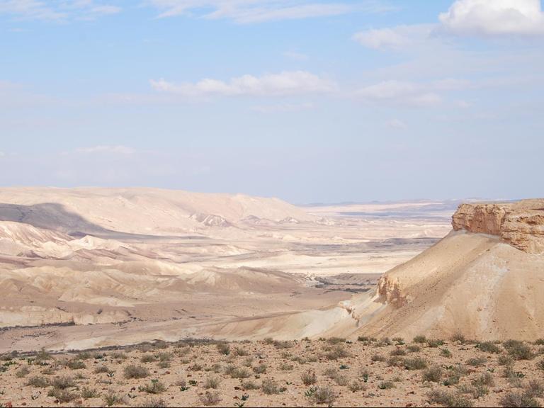 Die Wüste Negev