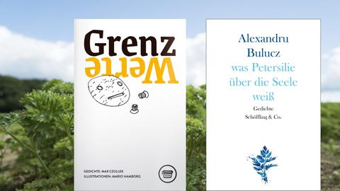 Buchcover links: Max Czollek: „Grenzwerte“, Buchcover rechts: Alexandru Bulucz: „was Petersilie über die Seele weiß"