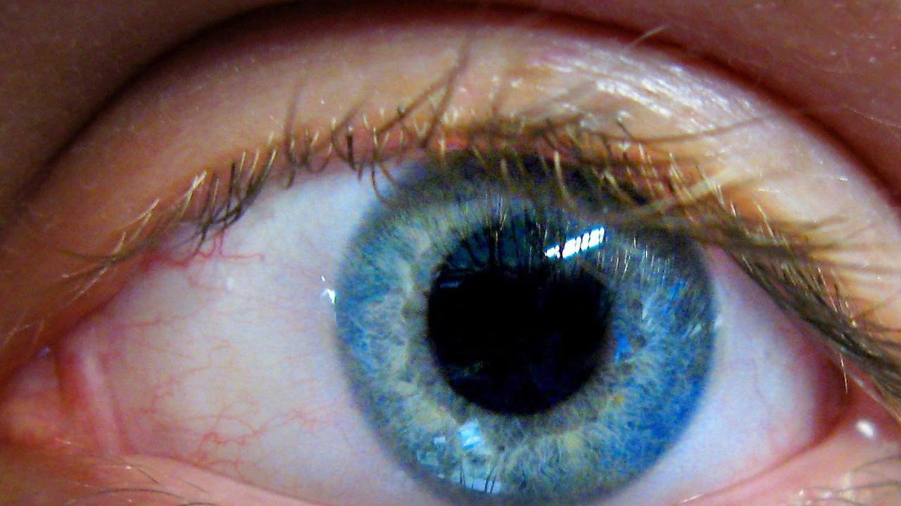 Ein menschliches Auge. 