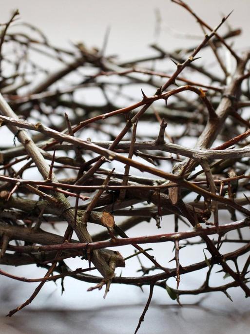 Eine Dornenkrone auf weissem Hintergrund: Die Evangelien berichten in Matthäus 27:29, Markus 15:17 und Johannes 19:2, dass Jesus von Nazaret von römischen Soldaten eine Krone aus Dornen aufgesetzt wurde.