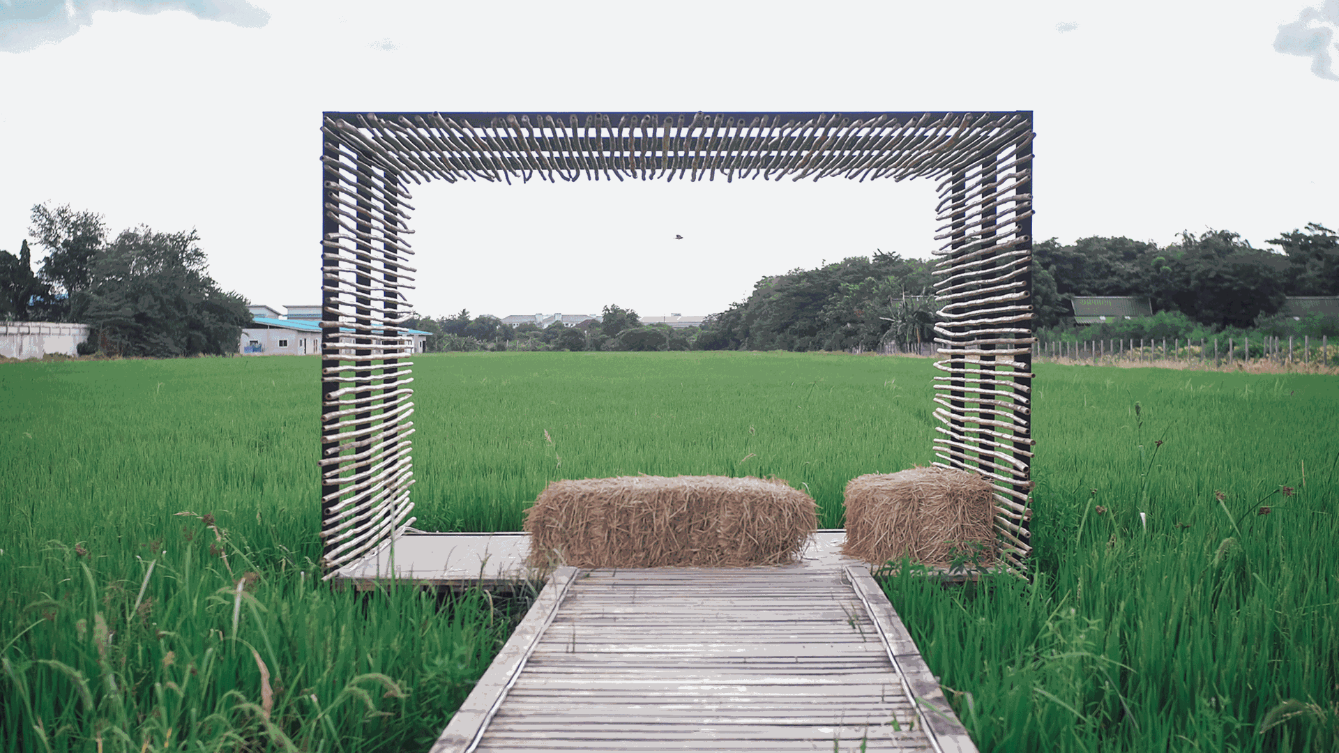 Ein Holzsteg mit Gras, Reis und Wasser
