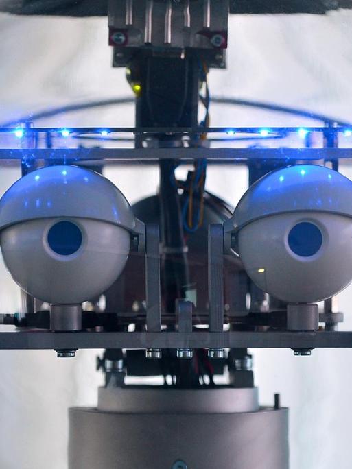 Sogar in Krankenhäusern kommen inzwischen schon Roboter zum Einsatz. Dieser Pflegeroboter wurde für Schlaganfall-Patienten gebaut.