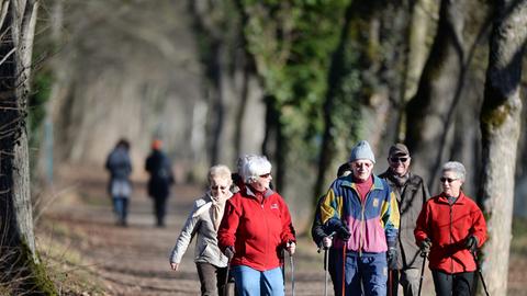 Eine Gruppe von Rentnern walkt mit Nordic-Walking-Stöcken auf einem Weg durch einen Wald.
