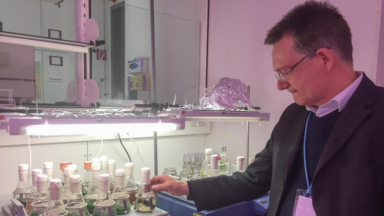 Prof. Jan-Heiner Küpper will mit Mikroalgen-Kulturen CO2 aus der Atmosphäre entnehmen