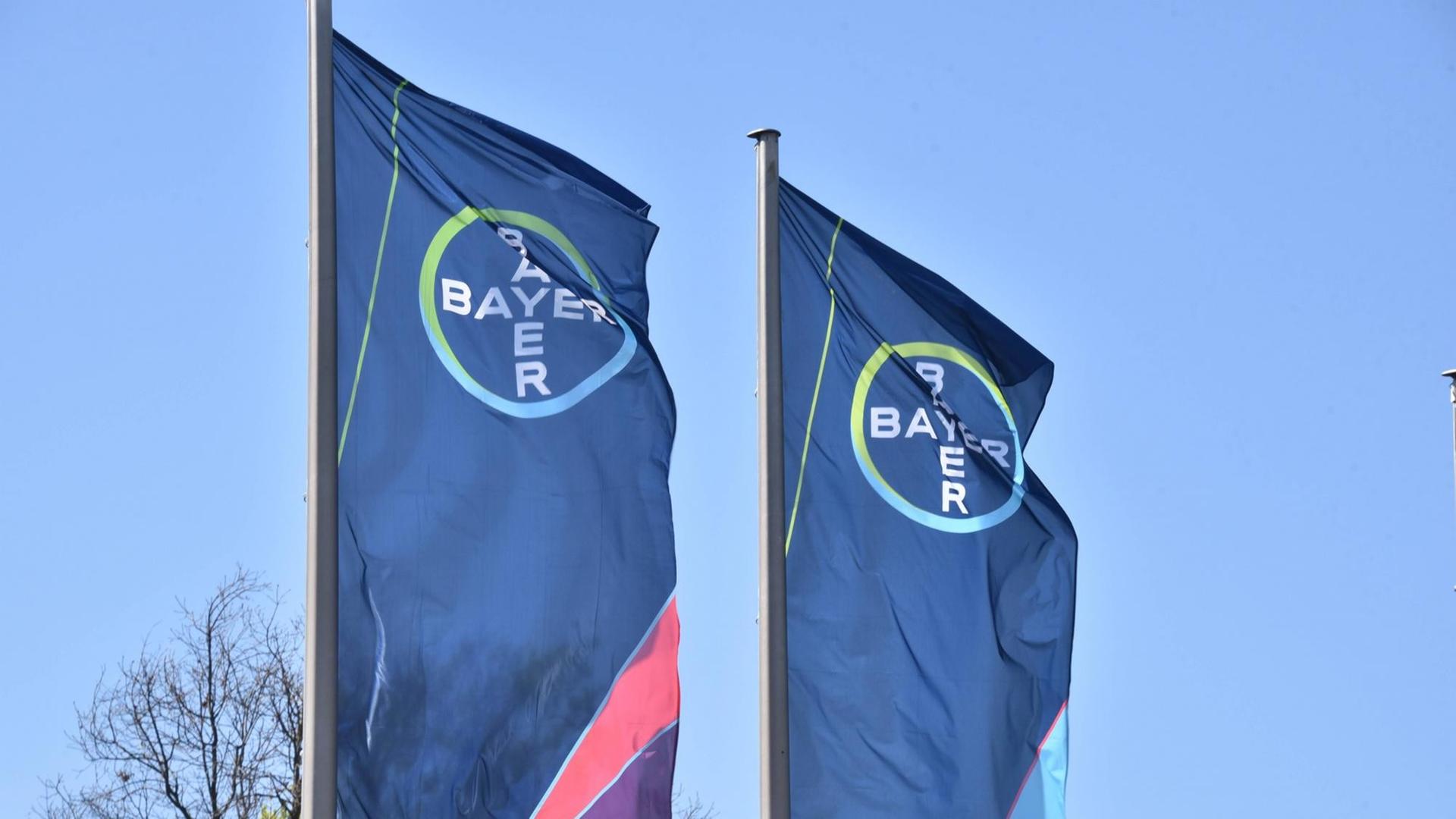 Flaggen mit dem Logo der Bayer AG in Leverkusen wehen im Wind