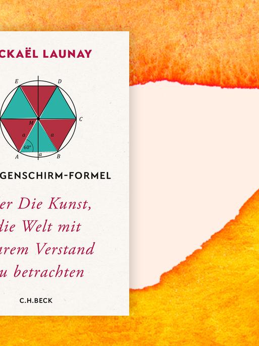 Das Cover des Buches "Die Regenschirm-Formel" auf sonnigem Aquarellgrund.