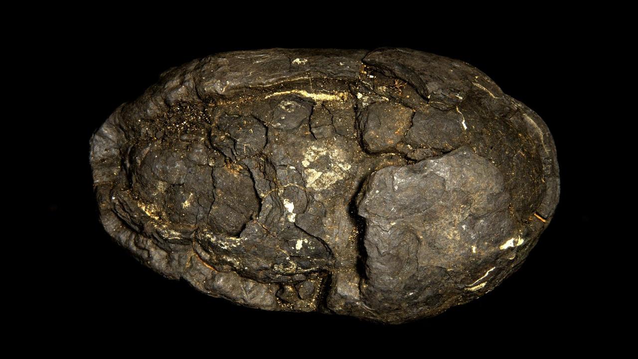 Eine dunkle, mit metallischen Adern durchzogen Manganknolle aus der Tiefsee im Atlantik.