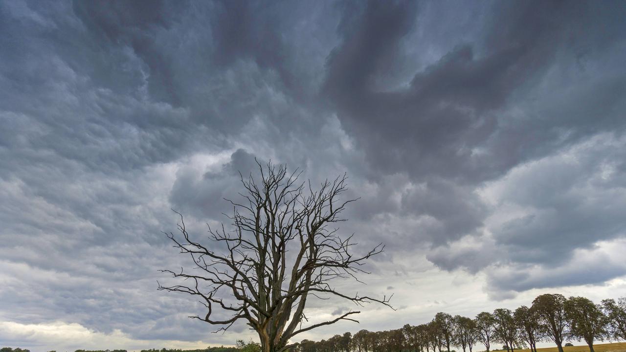 Wetter - Bewölkt Und Regnerisch, 5 Bis 12 Grad