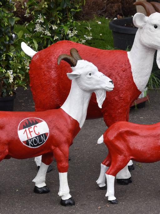Drei Geißböcke in rot weiss mit dem Logo des 1 FC Köln