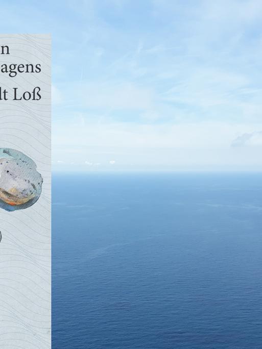 Buchcover: Lennardt Loß: „Und andere Formen menschlichen Versagens”
