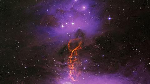 Die Staubwolken im Bereich des Orion-Nebels