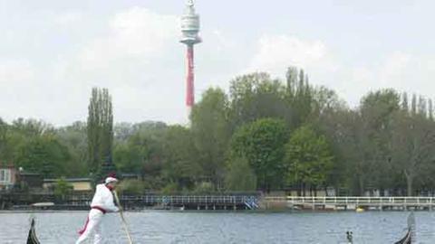 Die Donau: Die vielen Auen entlang des Flusses lassen sich mit dem neuen Verfahren klassifizieren.  
