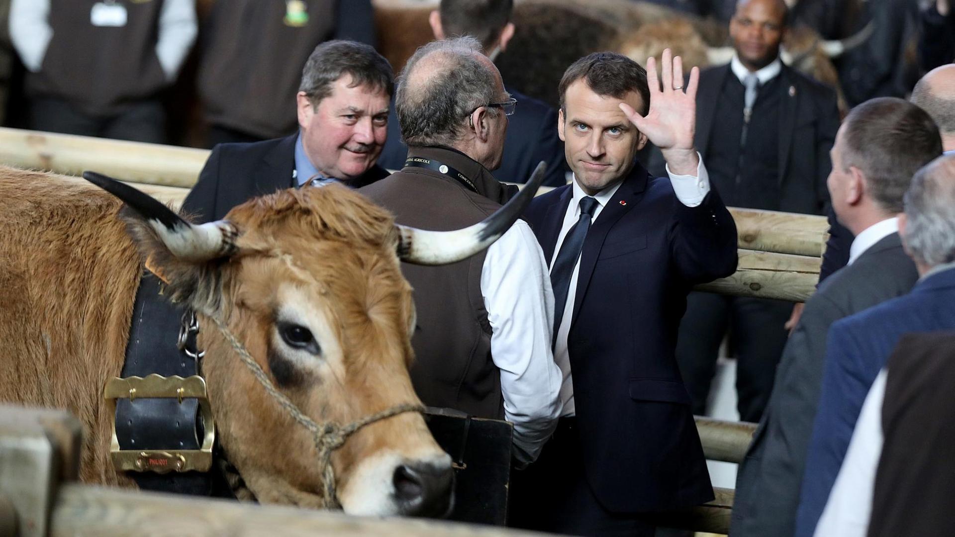 Emmanuel Macron steht am 24.02.2018 auf der französischen Landwirtschaftsmesse neben einem Ochsen und winkt in die Kamera