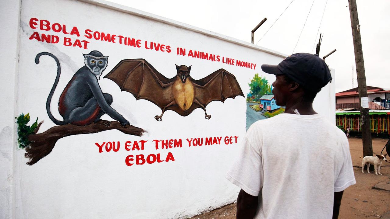 Eine Wandmalerei warnt in der liberianischen Stadt Monrovia vor Ebola. 