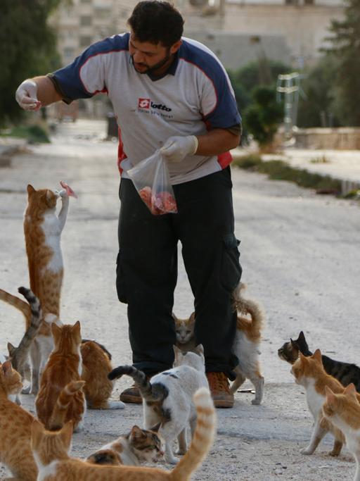 Ein Mann füttert Katzen in Aleppo: Foto aus dem Band "Yalla Habibi – Living with War in Aleppo" von Hosam Katan.