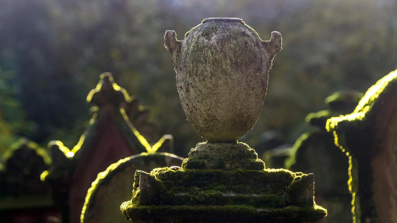 Eine steinerne Urne steht auf einem moosbewachsenen Grabstein. Im Hintergrund sind weitere moosbewachsene Grabsteine erkennbar.