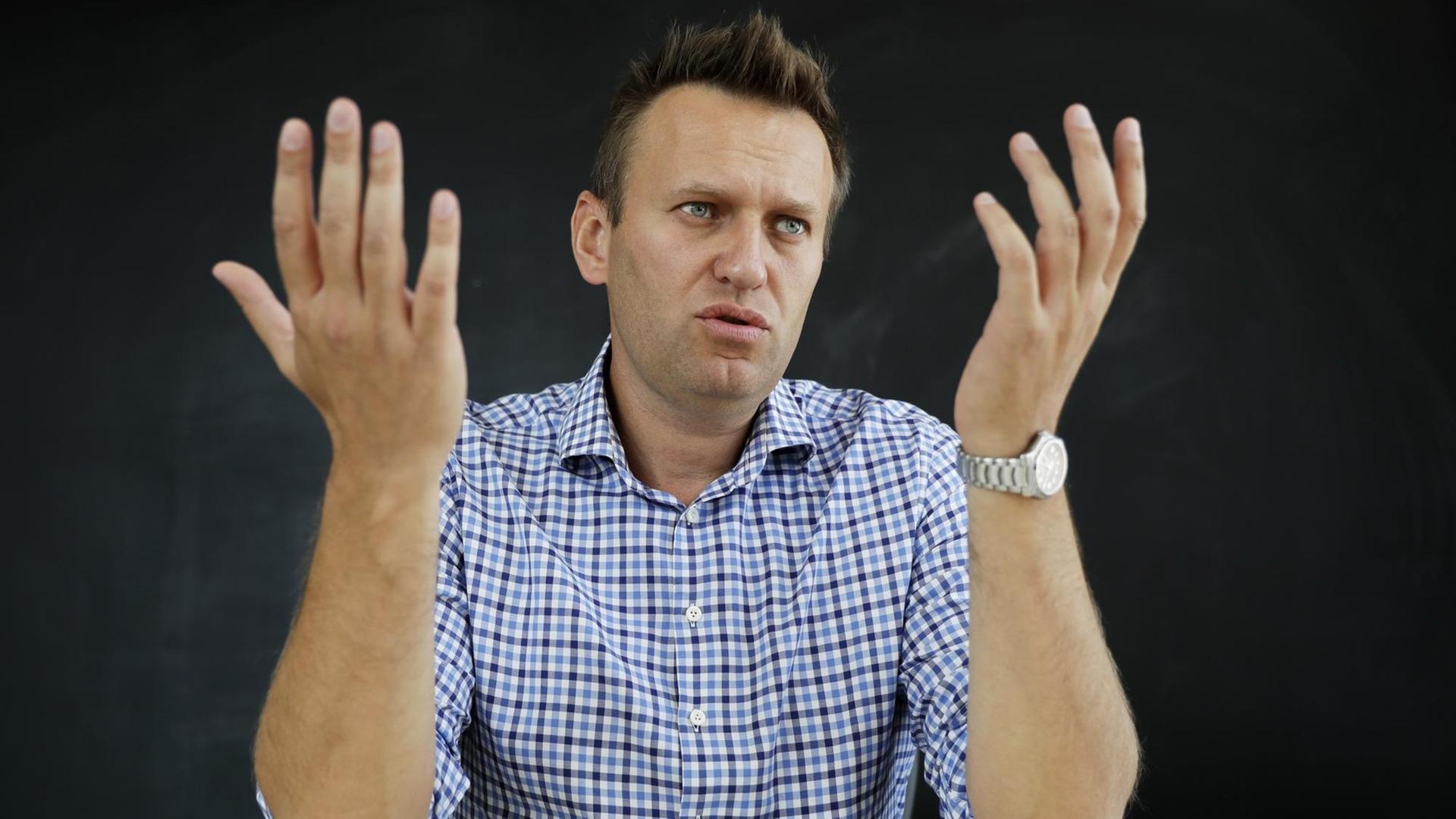 Der oppositionelle russische Blogger Alexej Nawalny