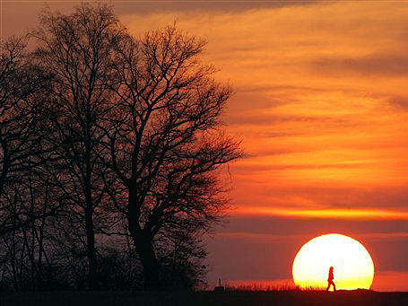 Ein Spaziergänger läuft bei frühlingshaften Wetter in der Nähe der bayerischen Ortschaft Germering im Sonnenuntergang.