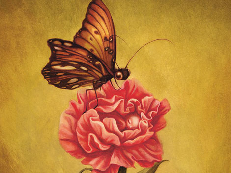 Eine Illustration aus Lacombes "Elfenbestimmungsbuch" Eine Illustration aus Lacombes "Elfenbestimmungsbuch"