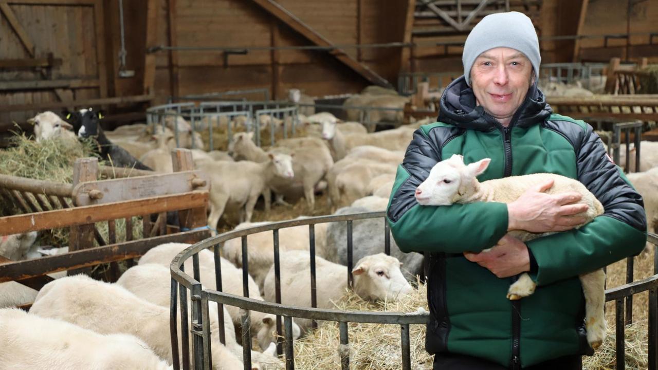 Schäfermeister Klaus Menke steht mit grauer Wollmütze und schwarz-grüner Daunenjacke im Schafstall und trägt ein Lamm auf seinen Armen. Schäfermeister Klaus Menke steht mit grauer Wollmütze und schwarz-grüner Daunenjacke im Schafstall und trägt ein Lamm auf seinen Armen.