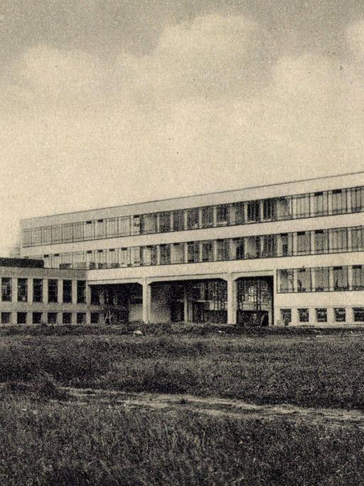 Das Bauhaus in Dessau 1928