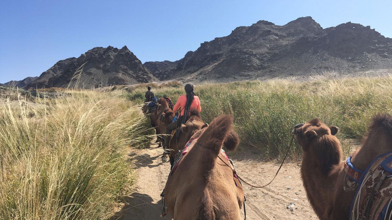 Die Wüste Gobi. Im Hintergrund ein Berg. Wüstensand und Gras. Drei Kamele von hinten, eines von einer Frau beritten. 