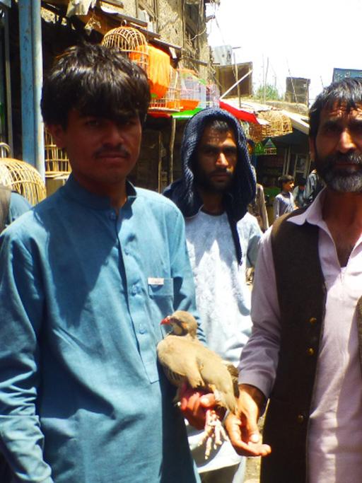 Auf dem Vogelmarkt von Kabul präsentieren Verkäufer stolz Rebhühner, die auch bei Vogelkämpfen eingesetzt werden