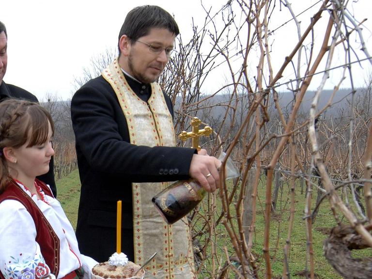 Vor allem in Vojvodina, der nördlichen serbischen Provinz werden heute noch am Tag des Hl.Tryphons die Reben gesegnet.