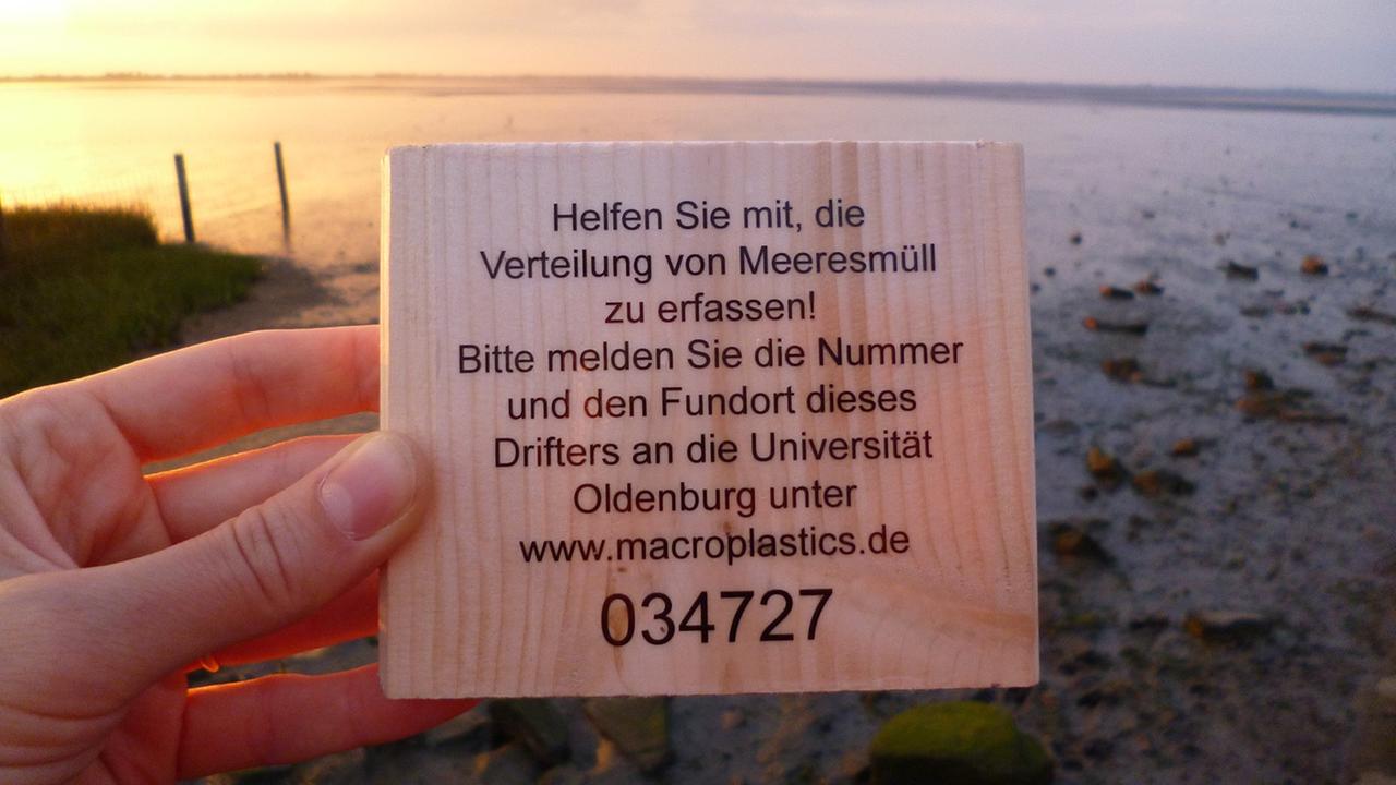 In den kommenden Wochen werden Wissenschaftler der Universität Oldenburg noch weitere solche Holzdrifter in der Nordsee aussetzen