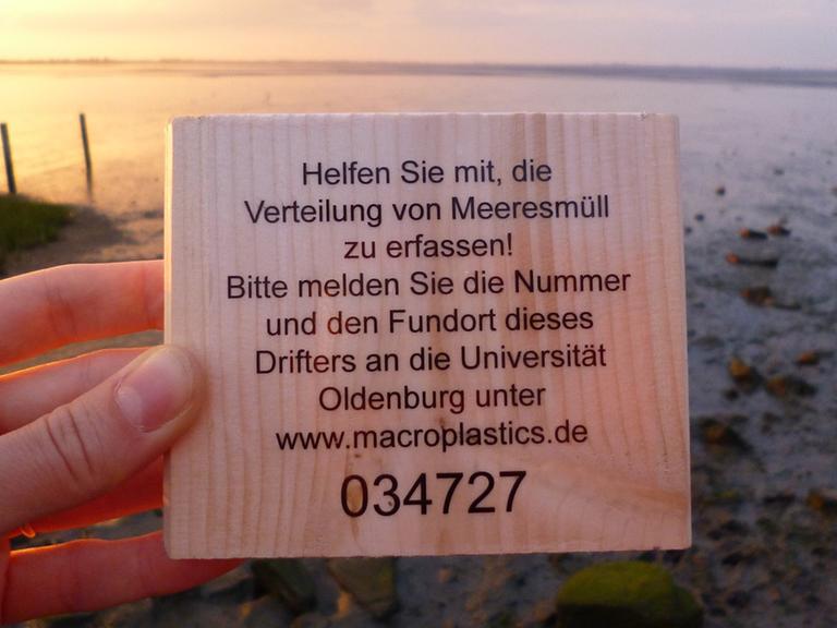 In den kommenden Wochen werden Wissenschaftler der Universität Oldenburg noch weitere solche Holzdrifter in der Nordsee aussetzen