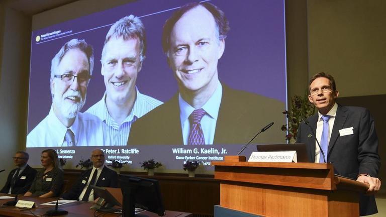 Thomas Perlmann vom Nobelpreis-Komitee stellt in Stockholm die Gewinner des diesjährigen Nobelpreises für Chemie vor, deren Fotos im Hintergrund zu sehen sind: William Kaelin, Gregg Semenza und Peter Ratcliffe