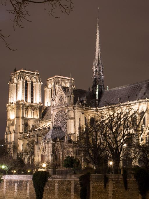 Notre Dame, die berühmte Kirche an der Seine in Paris, bei Nacht